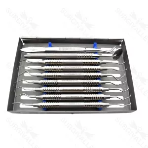 Basic Dental Periodontal Gracey Curettes Explorer Prob Kit Of 10 Pieces (SV-98-993)