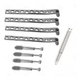 Dcs 95Â° Locked Plates With Screws Of 12.5mm 17 Pcs Set Surgical & Orthopedic