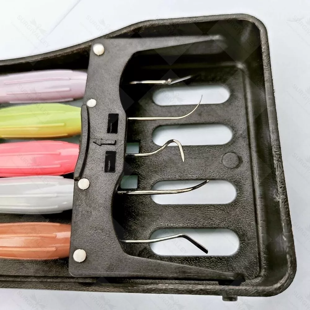 Dental Ergo Max Set Of 5 For Aesthetic Restorations & Composite Layering