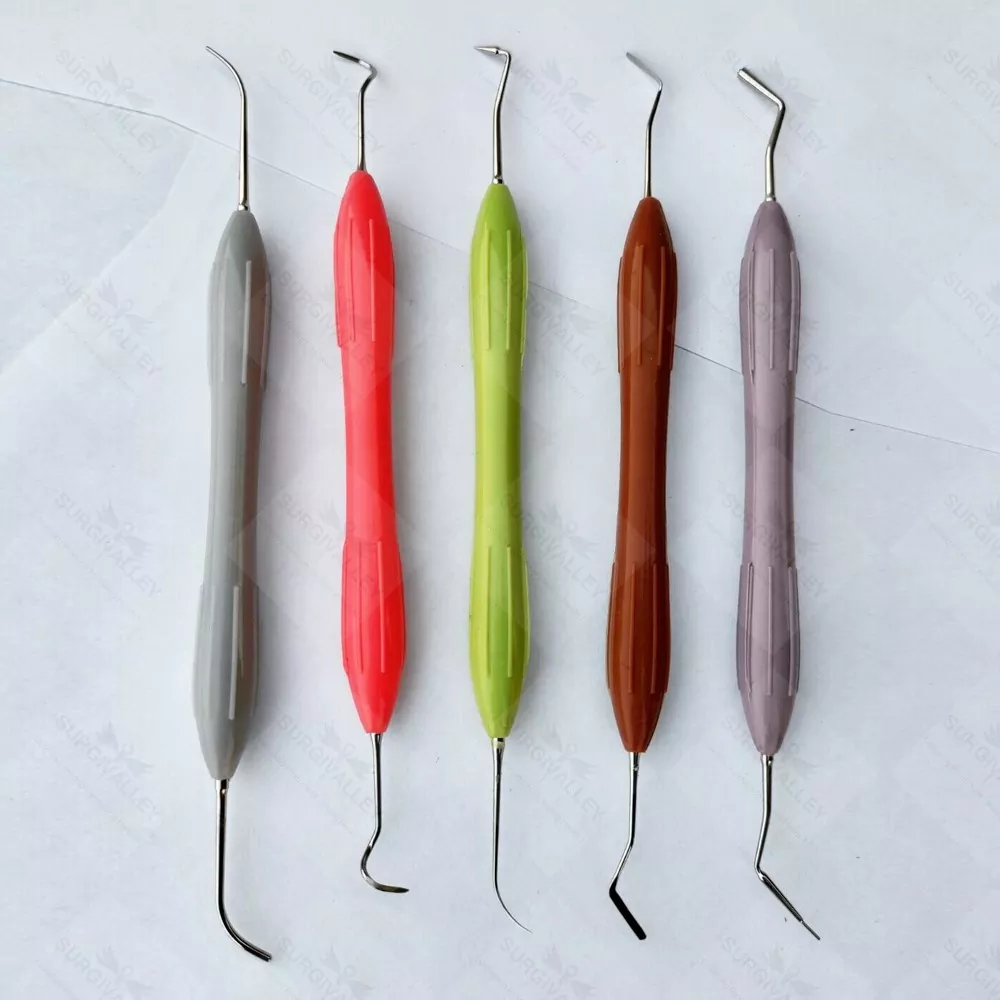 Dental Ergo Max Set Of 5 For Aesthetic Restorations & Composite Layering