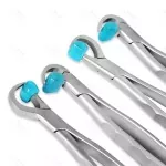Dental Extraction Forceps Standard Series Set Of 4 Pcs