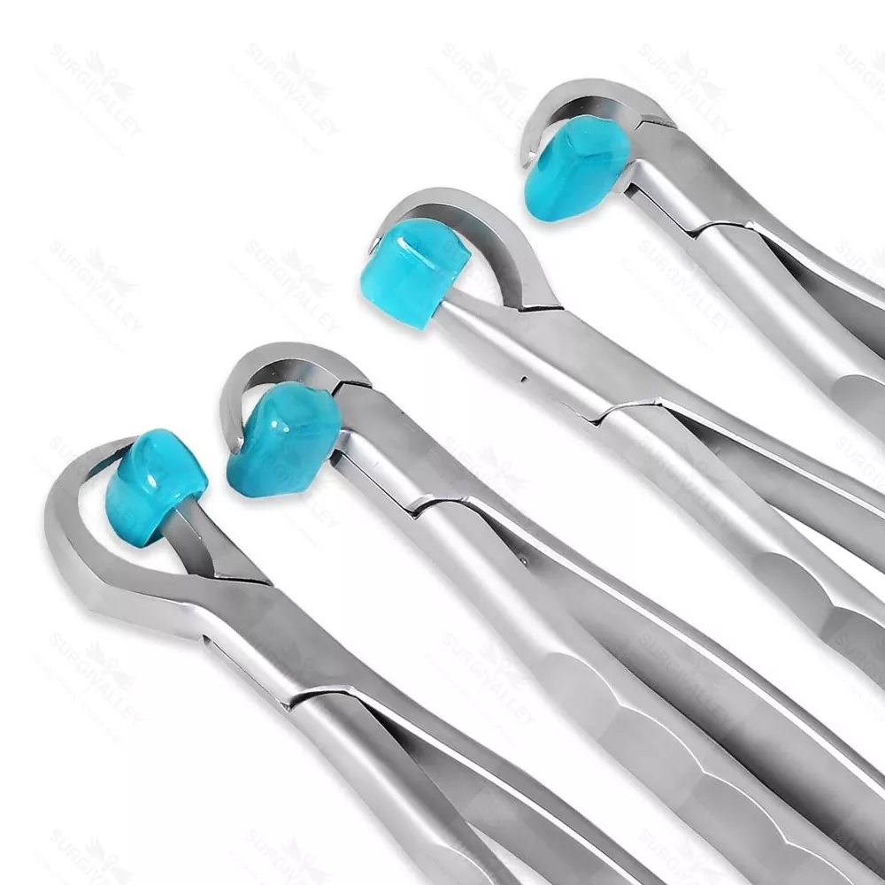 Dental Extraction Forceps Standard Series Set Of 4 Pcs