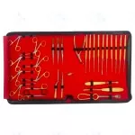 Tympanoplasty Myringoplasty Instrument Set (31 Pcs) - SV - 10 - 1281