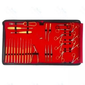 Tympanoplasty Myringoplasty Ear Reconstruction Surgery Instrument Set of 31 Pcs (SV-10-1281)