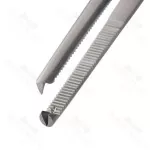 Waugh Tonsil Dissecting Forceps 1 X 2 Teeth Stainless Steel Forceps