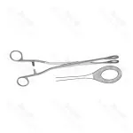 Single Use Disposable Noto Polyp Forceps Gynecological Surgeries Instruments