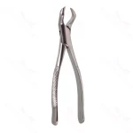 Oral Molar Forceps Upper molar – #88R
