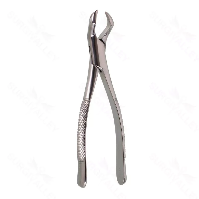 Oral Molar Forceps Upper molar – #88R