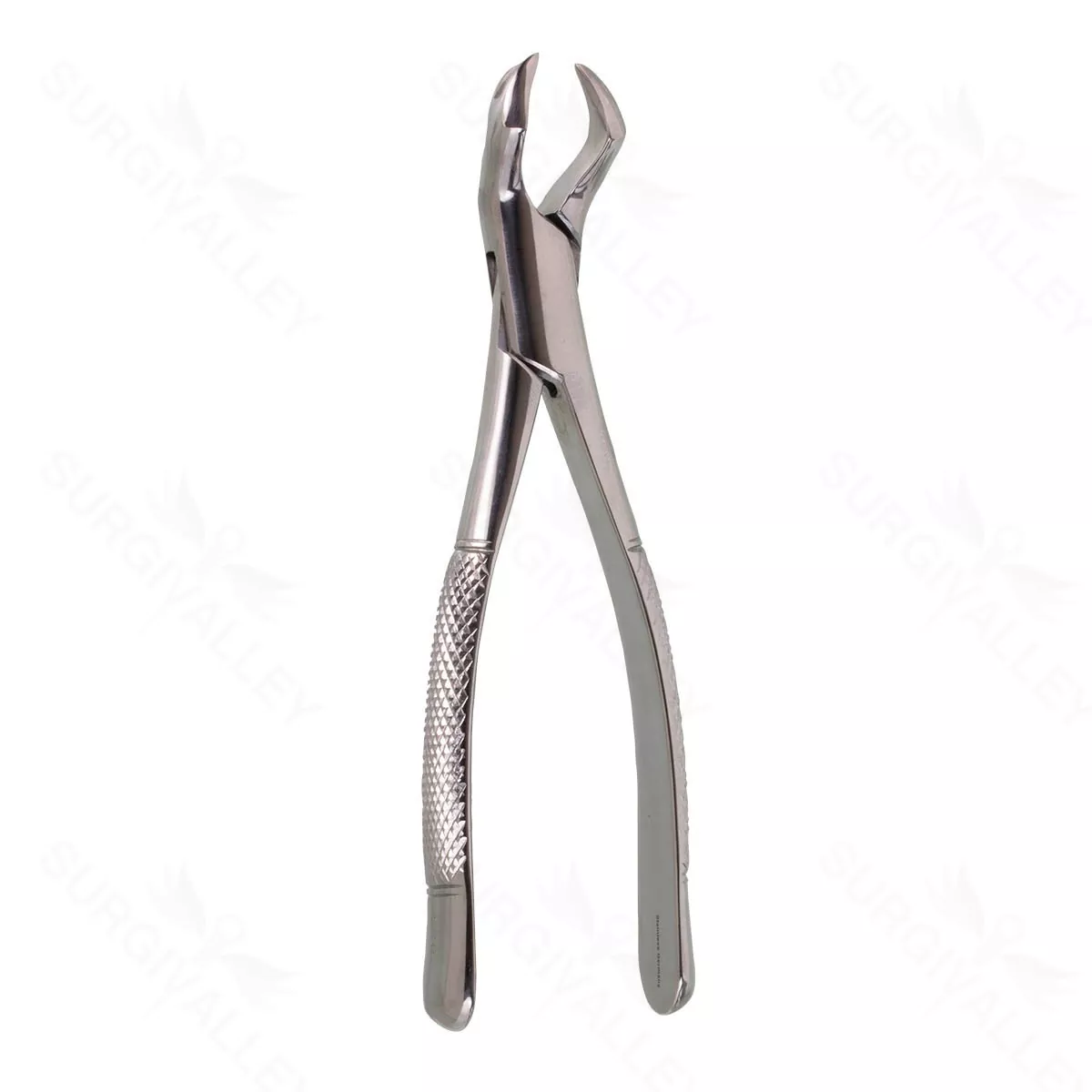 Oral Molar Forceps Upper molar – #88R