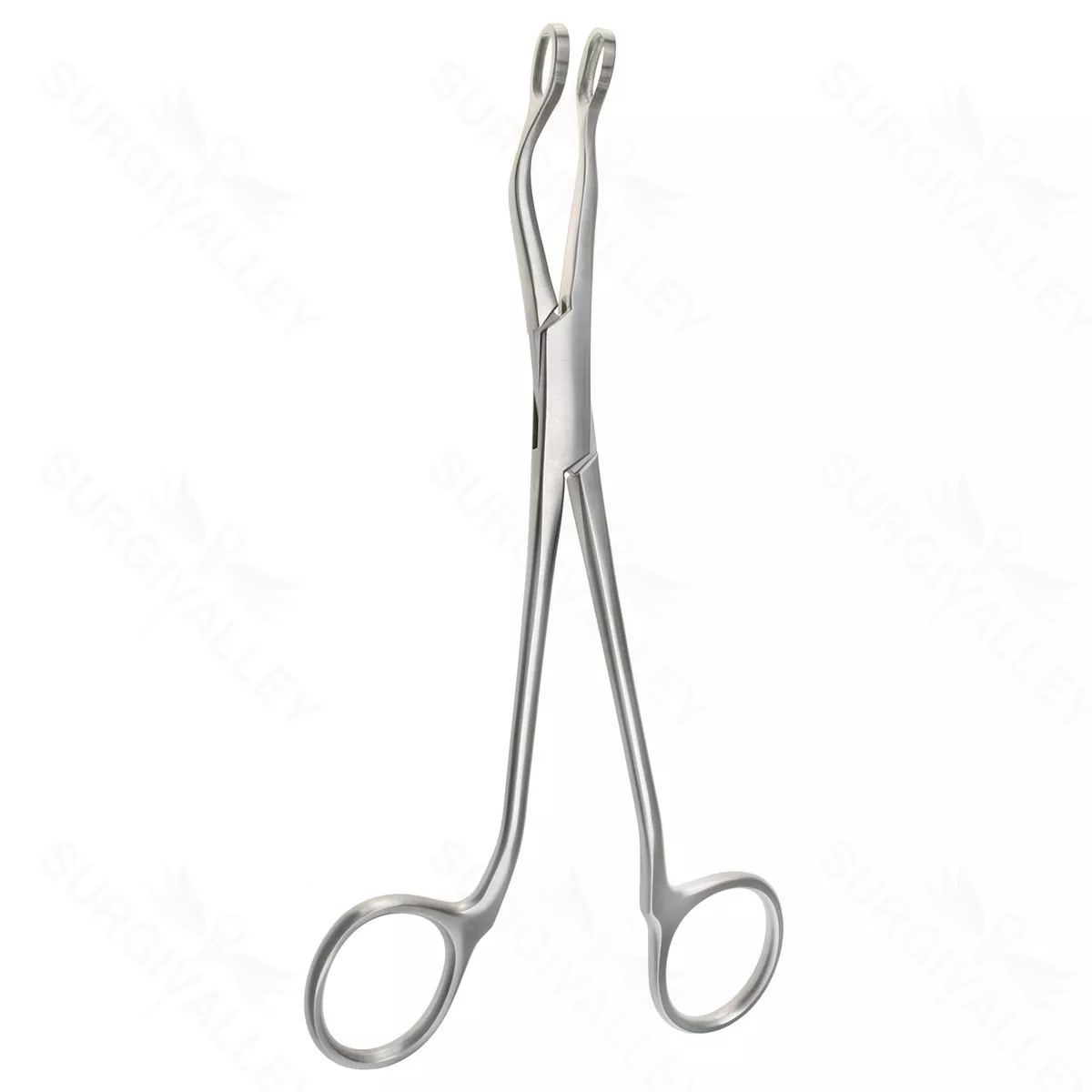St. Claire Thompson Adenoid Forceps 7 1/4″