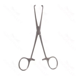 6″ Allis Tiss Forceps – 4×5 tth – surgivalley (S01-78-00-515)