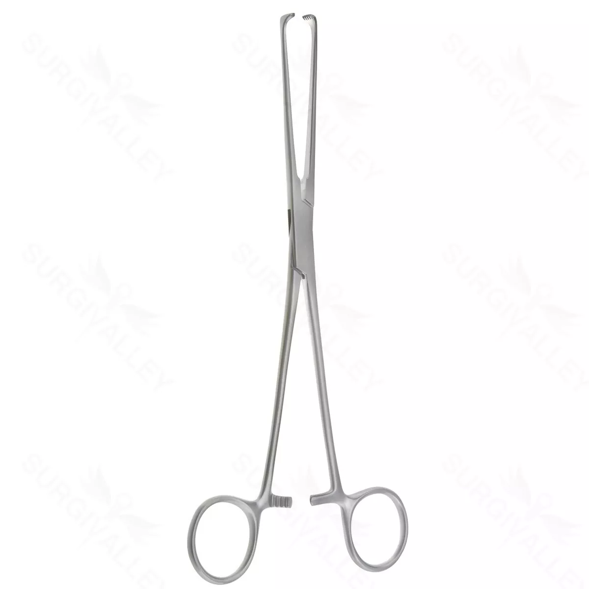 9″ Allison Tissue Forceps – 5×6 tth