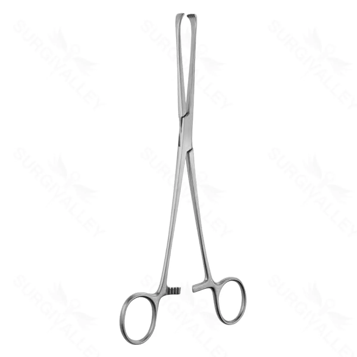 8" Thoms Allis Forceps 6×7 teeth