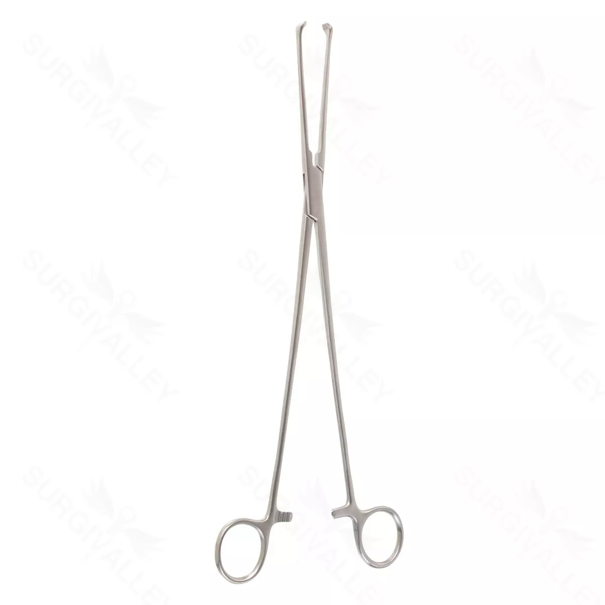 12" Allis Tissue Forceps 5×6