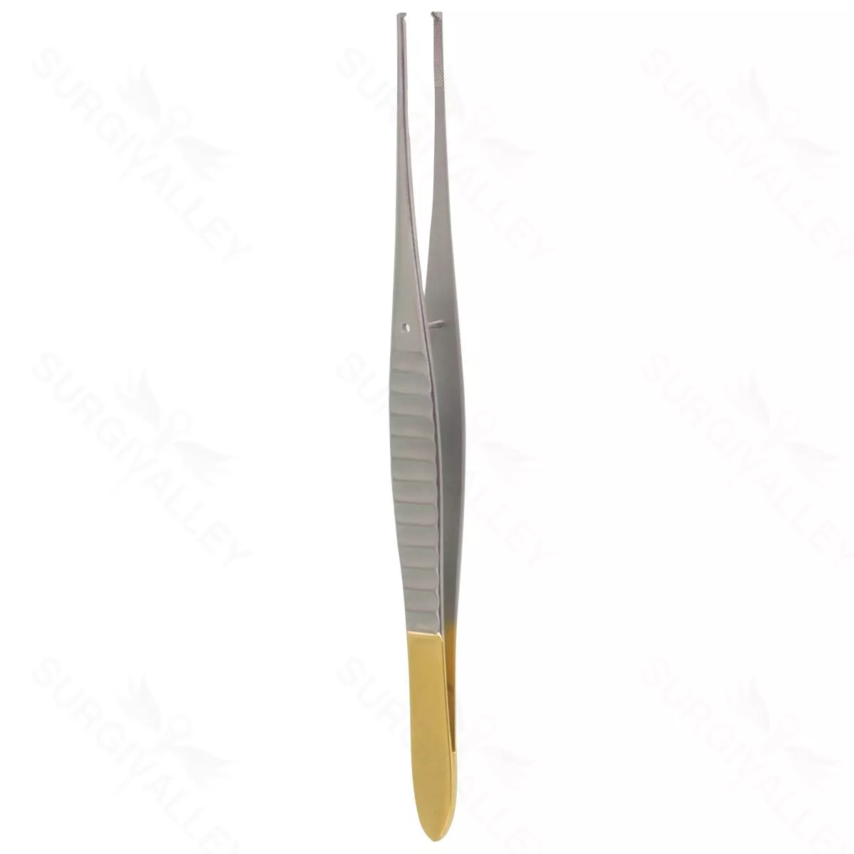 6″ Gillies Forceps – TC 1×2 tth