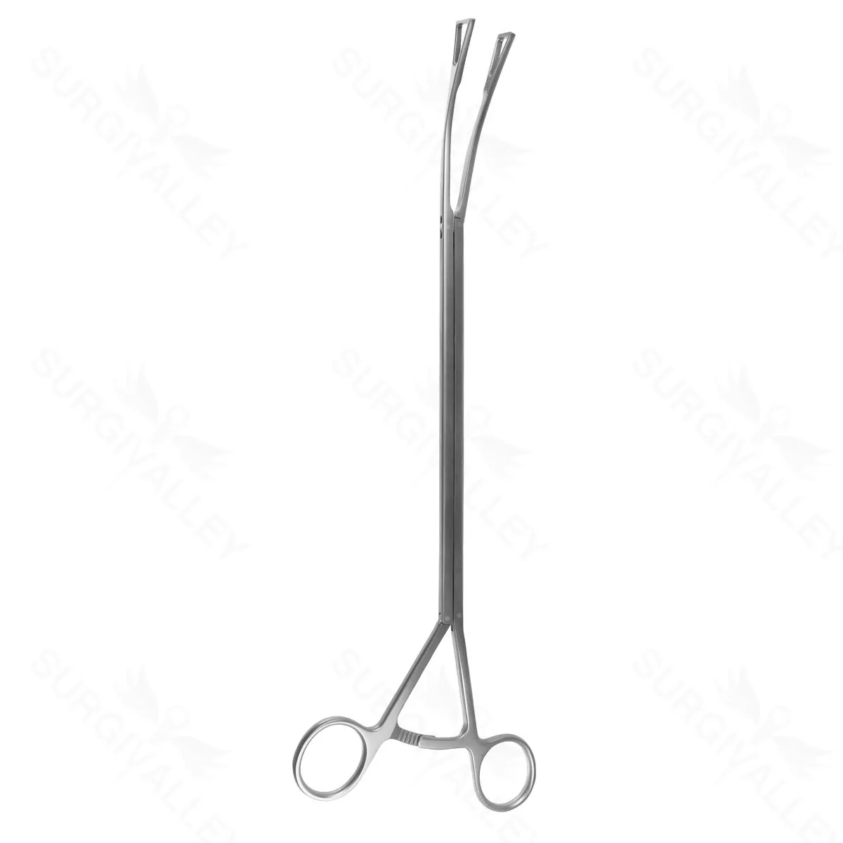 13-1/2″ VATS Duval Forceps – 10mm Shaft 15mm Triangular Jaws