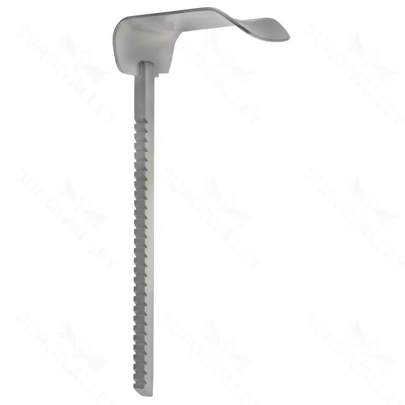 Workhorse Kelly Retractor – 2″ x 3″