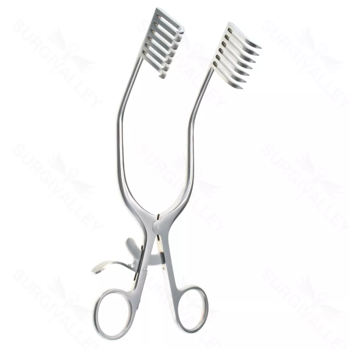 Miskimon Ret, 7×7 prngs, shrp, 7 1/2″