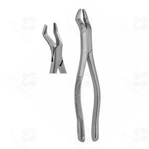 10S Universal Extraction Forceps (001010089)