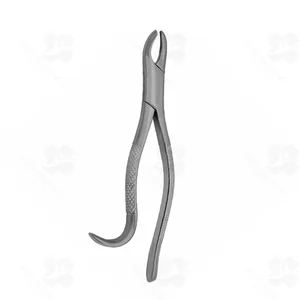 24 Universal Extraction Forceps (001010135)