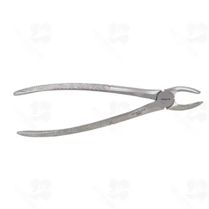 29 English Pattern Extraction Forceps (001010190)