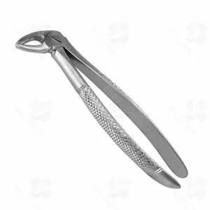 33A English Pattern Extraction Forceps (001010172)