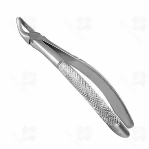35 English Pattern Extraction Forceps (001010079)