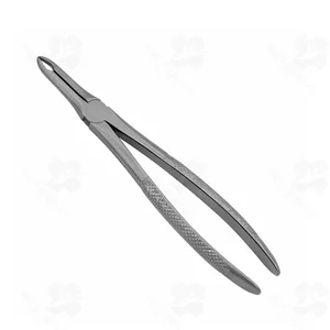 41 English Pattern Extraction Forceps (001010188)