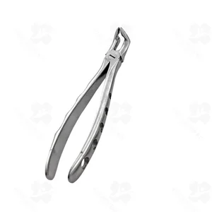 79A English Pattern Extraction Forceps (001010145)