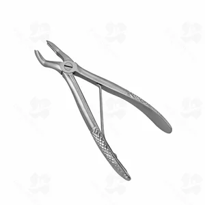 81C English Pattern Pedo Extraction Forceps (001010124)
