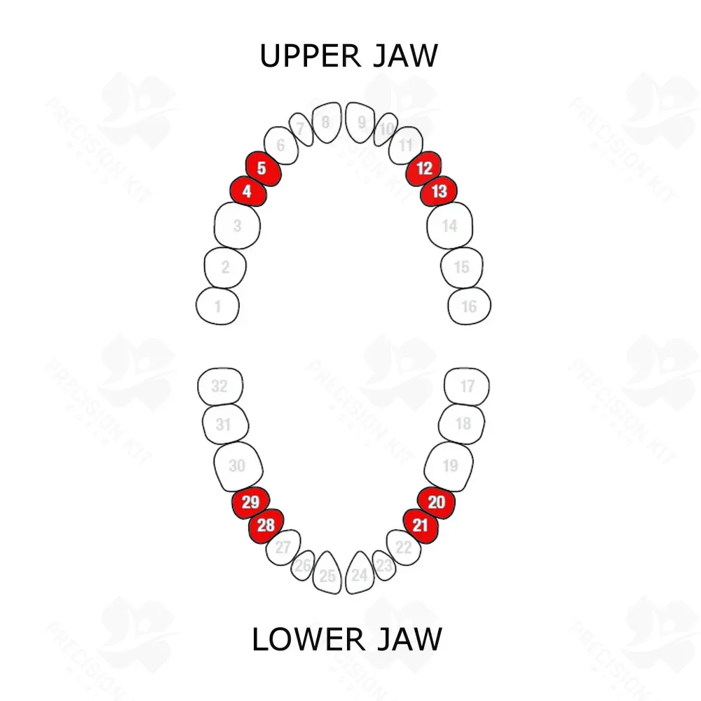 Rubber Dam Clamp N.29
