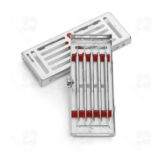 Set P.K. Thomas (090010234)