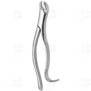 Tooth Forceps American N. 15 (001010229)