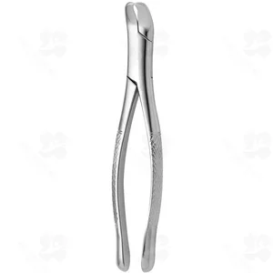 Tooth Forceps American N. 5 (001010340)