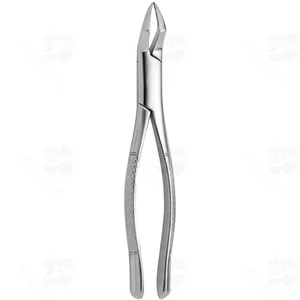 Tooth Forceps American N.286 (001010233)