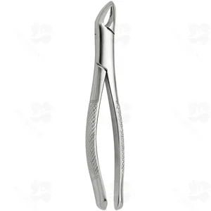 Tooth Forceps American Pediatric N.151 (001010271)