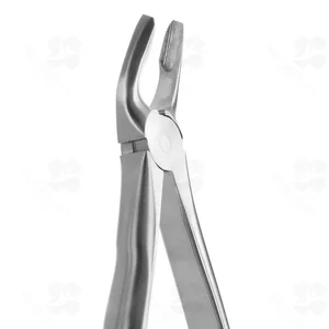 Tooth Forceps Blade Beaks N. 7 (001010315)