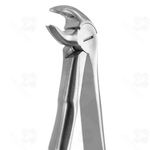 Tooth Forceps Blade Beaks N.13 (001010373)