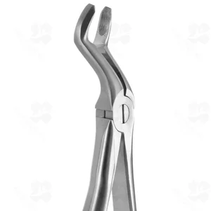 Tooth Forceps Blade Beaks N.67 (001010266)
