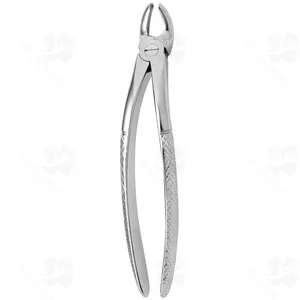 Tooth Forceps N. 19 (001010303)