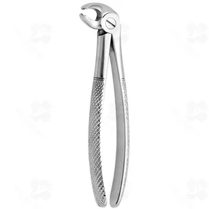 Tooth Forceps N. 24 (001010323)