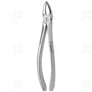 Tooth Forceps N. 30 (001010348)