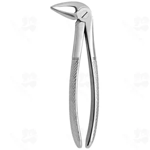 Tooth Forceps N. 33-L (001010231)