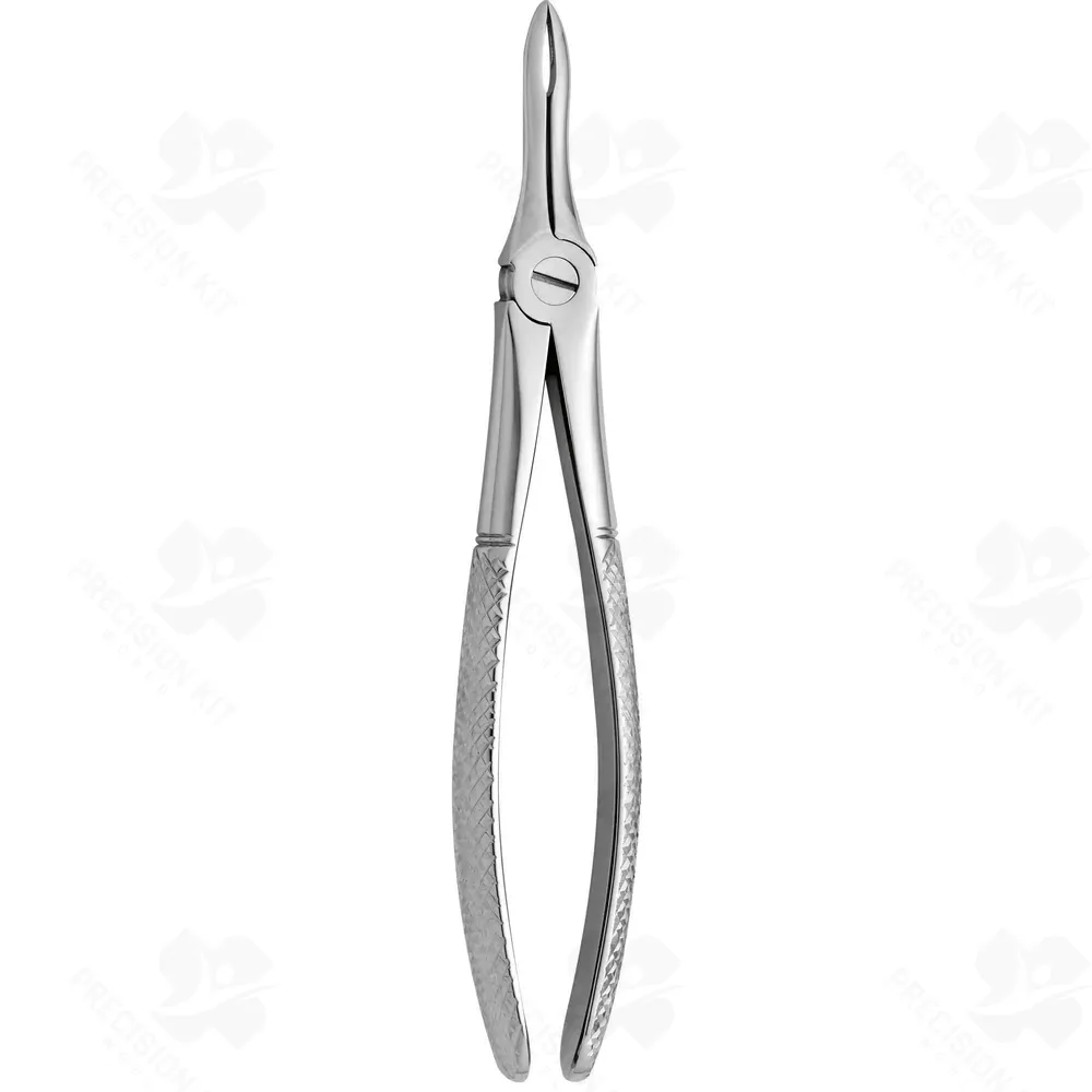 Tooth Forceps N. 41