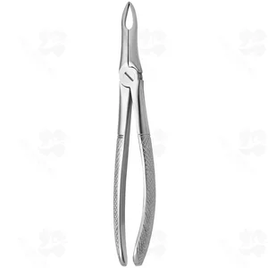 Tooth Forceps N. 49 (001010294)