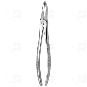 Tooth Forceps N. 51 (001010276)