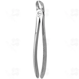 Tooth Forceps N. 56 (001010329)