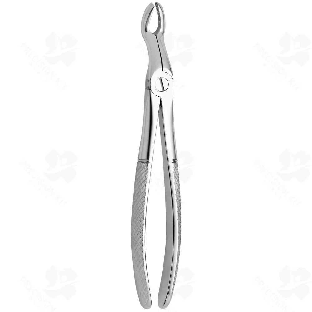 Tooth Forceps N. 67