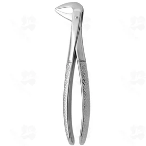 Tooth Forceps N. 74-N (001010248)