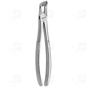 Tooth Forceps N. 79 (001010350)